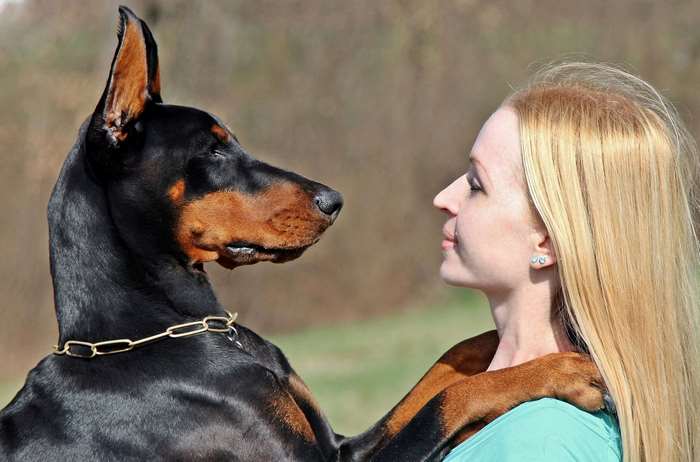 Blonde woman hugging a Doberman dog