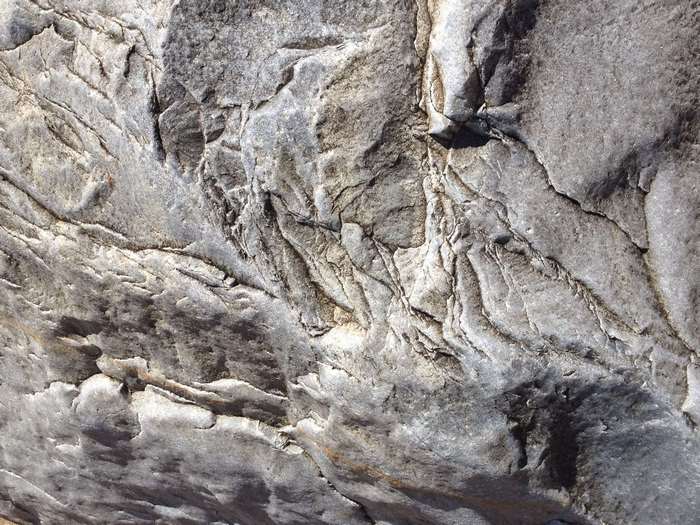 Close-up texture of grey, weathered rock surface
