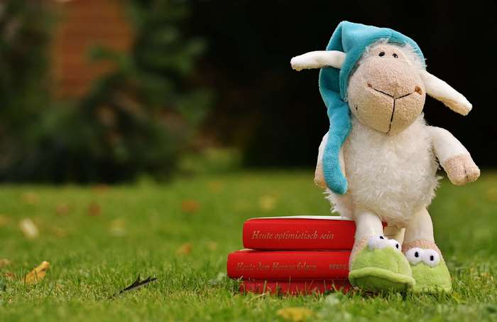 Stuffed sheep wearing a blue hat on books
