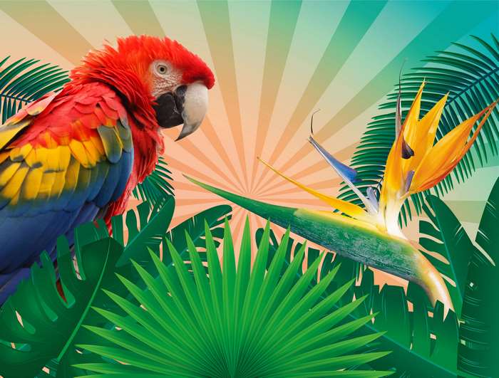 Scarlet Macaw Parrot and Bird of Paradise Flower