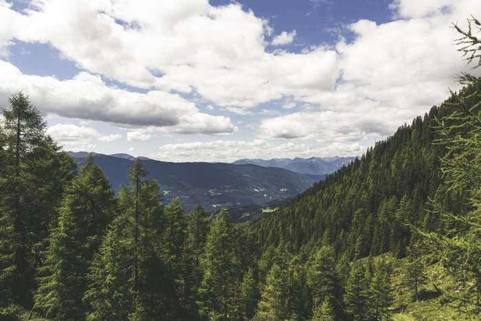 Mountain range with evergreen forest and cloudy sky