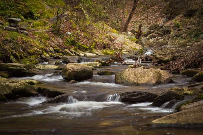 Stream flowing over rocks in a forest
