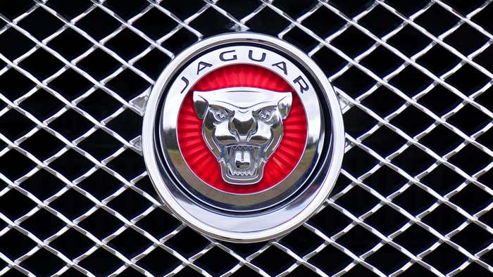 Jaguar emblem on a car grille 4K