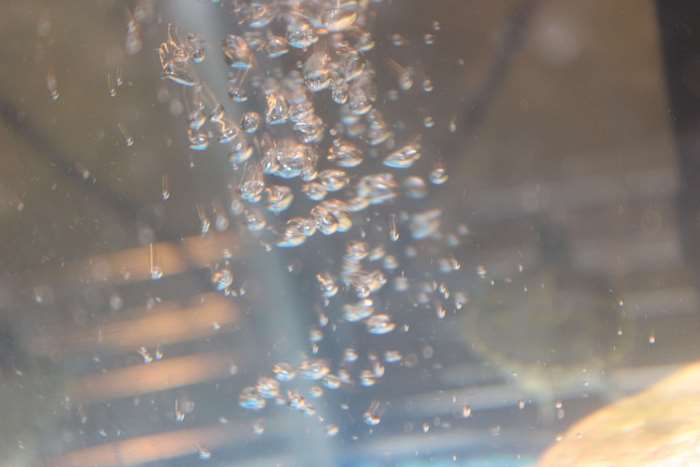 Bubbles rising in water