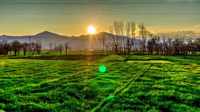Sunset over a green field with mountains and trees
