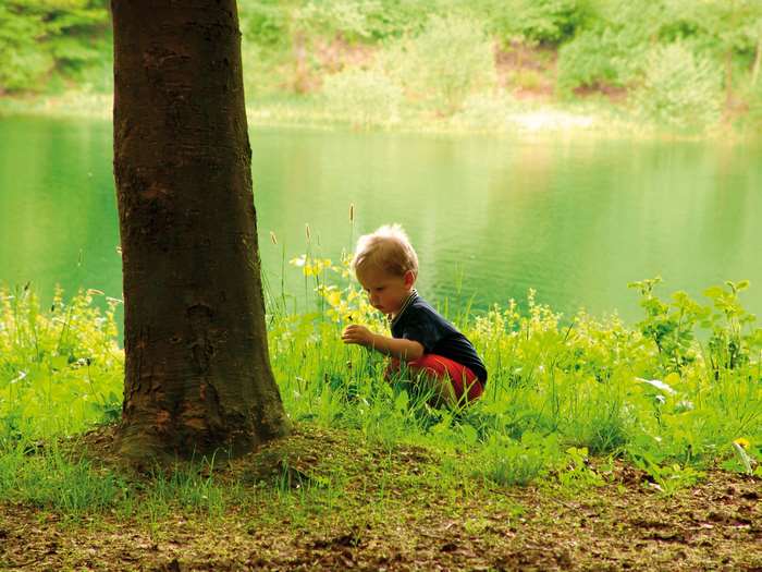 Little boy in a green forest by a lake