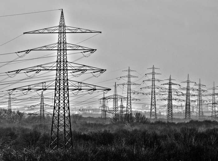 A line of electricity pylons in a forest