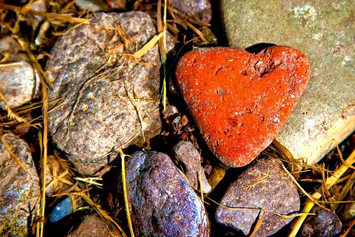Red heart-shaped stone among other stones and dry grass