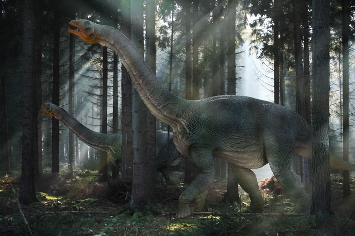 Two dinosaurs walking through a sunlit forest