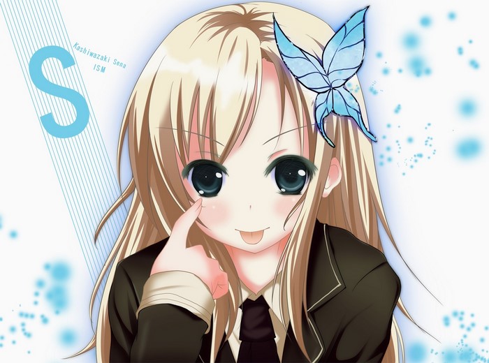 Kashiwazaki Sena from ISM