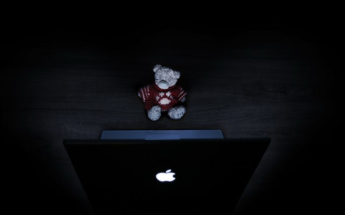 Teddy bear on a laptop