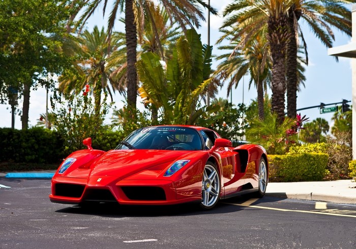 Red Ferrari Enzo parked outdoors