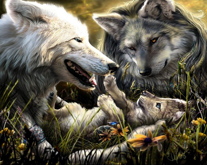 Wolf family with cub in grass