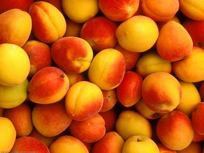 A pile of ripe apricots