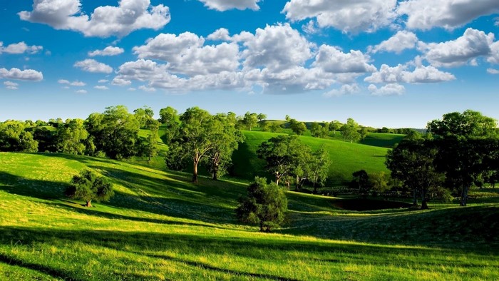 Sunny Green Hills Under a Blue Sky