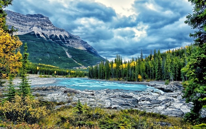 Mountain River and Forest Under Cloudy Sky