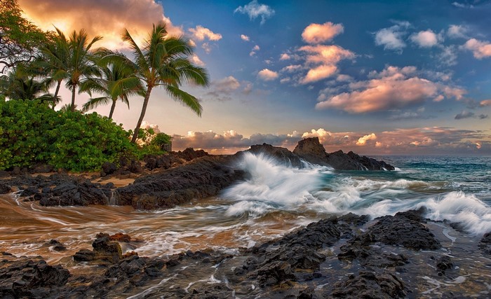 Sunset Surf and Palm Trees on Maui Coast