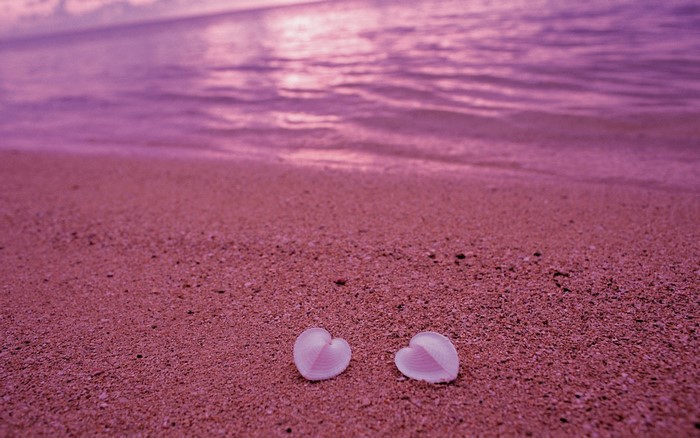 Two heart-shaped seashells on a pink beach