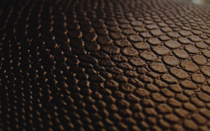 Close-up texture of brown leather with scales