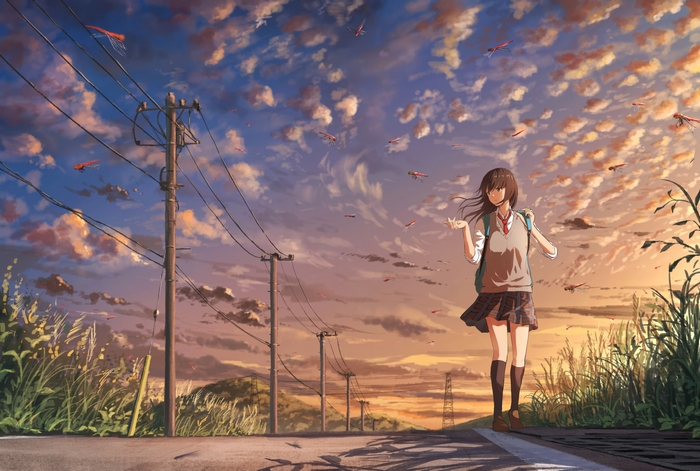 Anime Girl Walking at Sunset Among Dragonflies