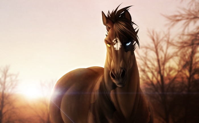 Brown horse with heterochromia eyes at sunset