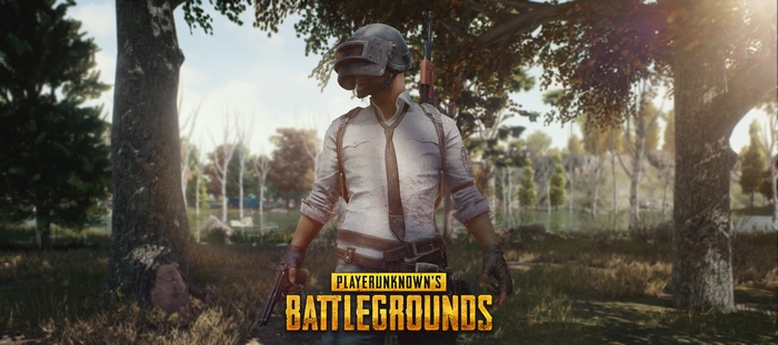 PlayerUnknown's Battlegrounds character in a forest