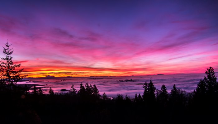 Pink and purple sunset over a foggy valley with trees