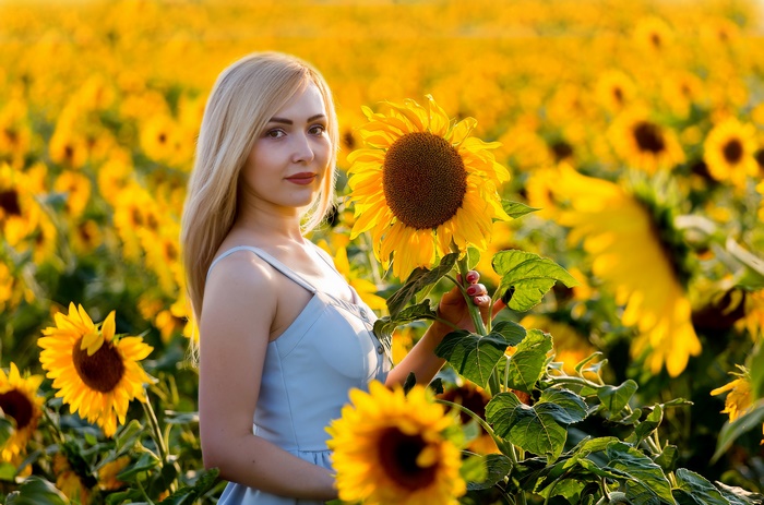 Woman in a sunflower field