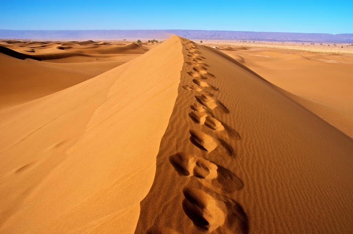 Footprints on a sand dune in the Sahara Desert, Algeria