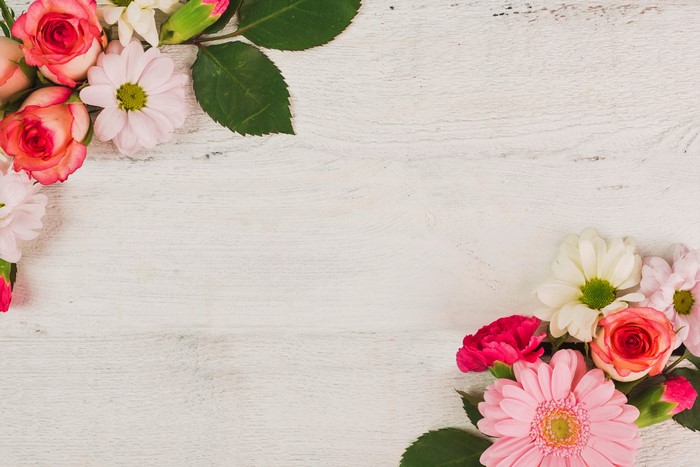 Pink and red flowers on a white wooden background