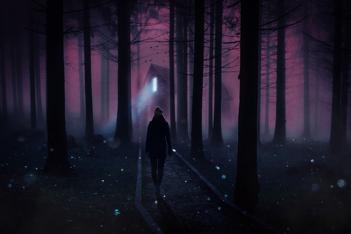 Mysterious Cabin in Foggy Forest at Night 4K