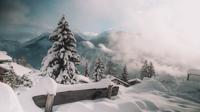 Snowy mountain village with fir trees and fog