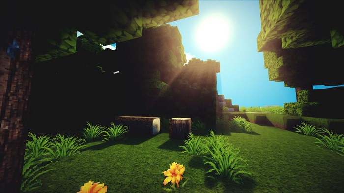 Minecraft forest scene with sun and grass