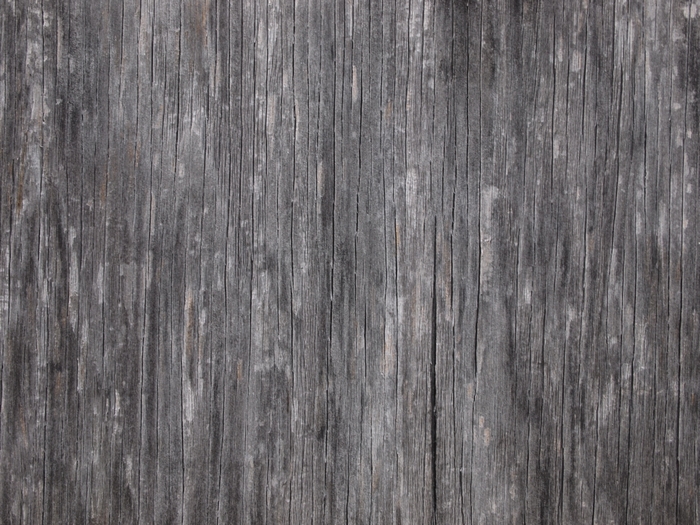Weathered Gray Wood Grain Texture