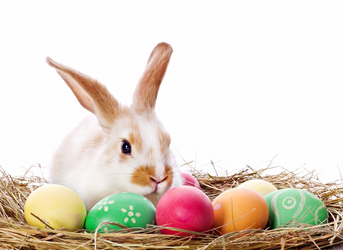 Easter bunny with decorated eggs in a nest