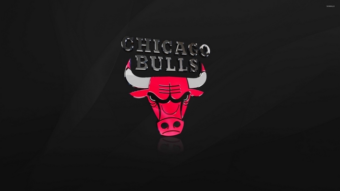 Chicago Bulls logo