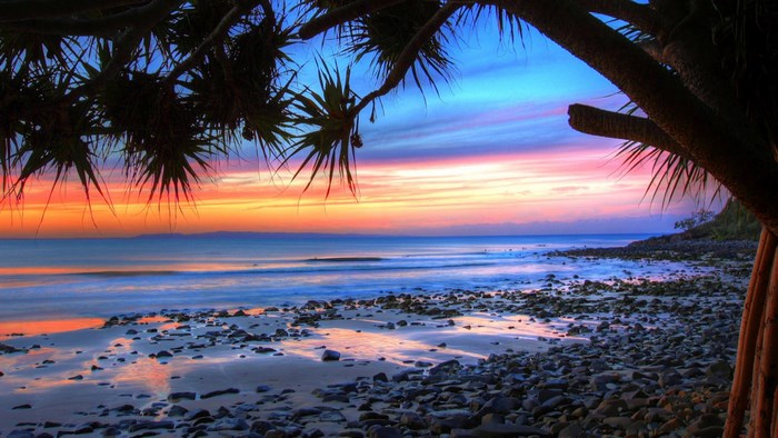 Sunset over a rocky beach with palm fronds