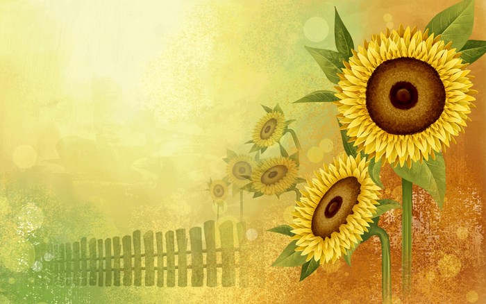 Sunflowers and a wooden fence in a field