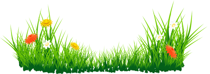 Green grass with colorful flowers