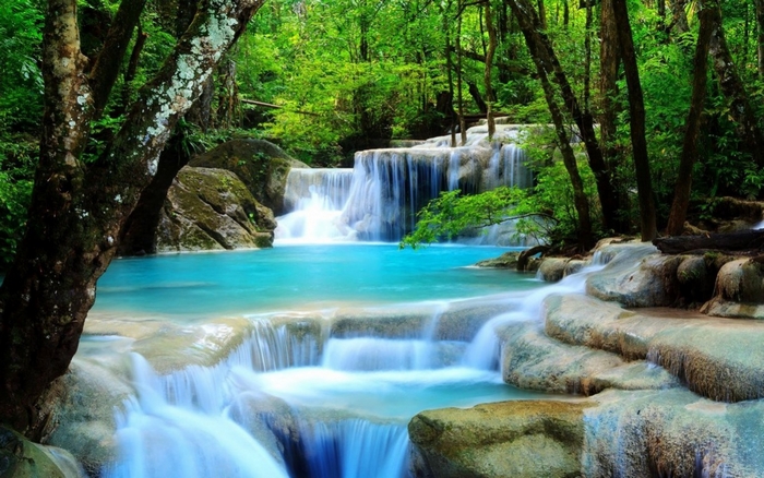 Beautiful Waterfall in a Lush Green Forest