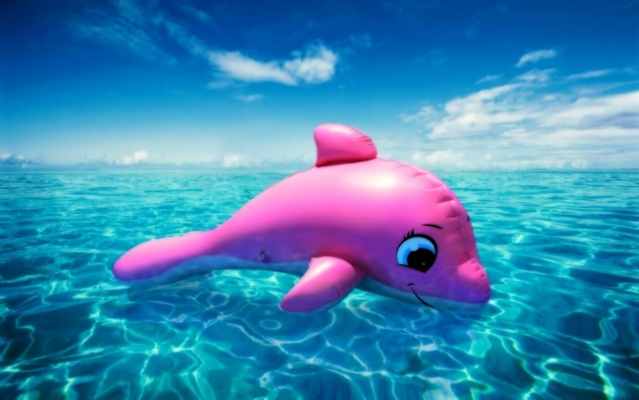 Pink inflatable dolphin floating in the ocean