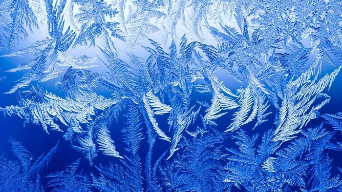 Frost patterns on a blue background