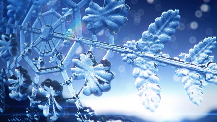 Close-up of a snowflake