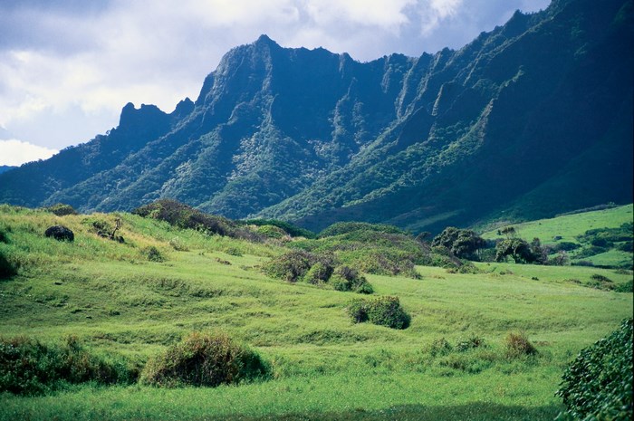 Green Rolling Hills and Mountains in Hawaii