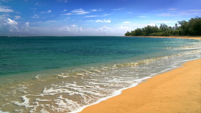 Beach with Turquoise Water and Sandy Shore