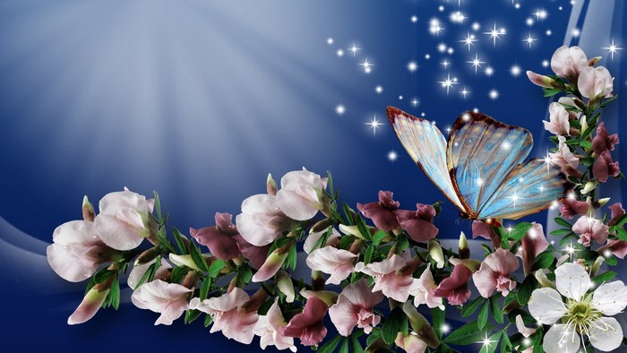 Butterfly on flowers with sparkling lights