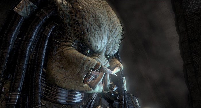 Predator close-up portrait