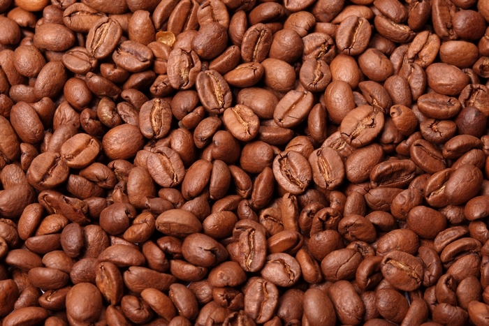 Close-up of roasted coffee beans