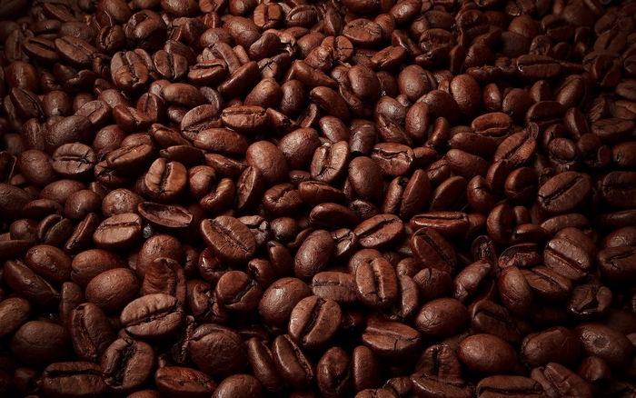 Close-up of roasted coffee beans