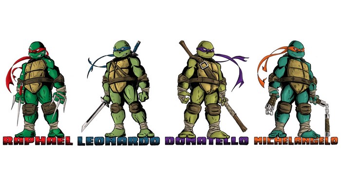 Teenage Mutant Ninja Turtles with Names